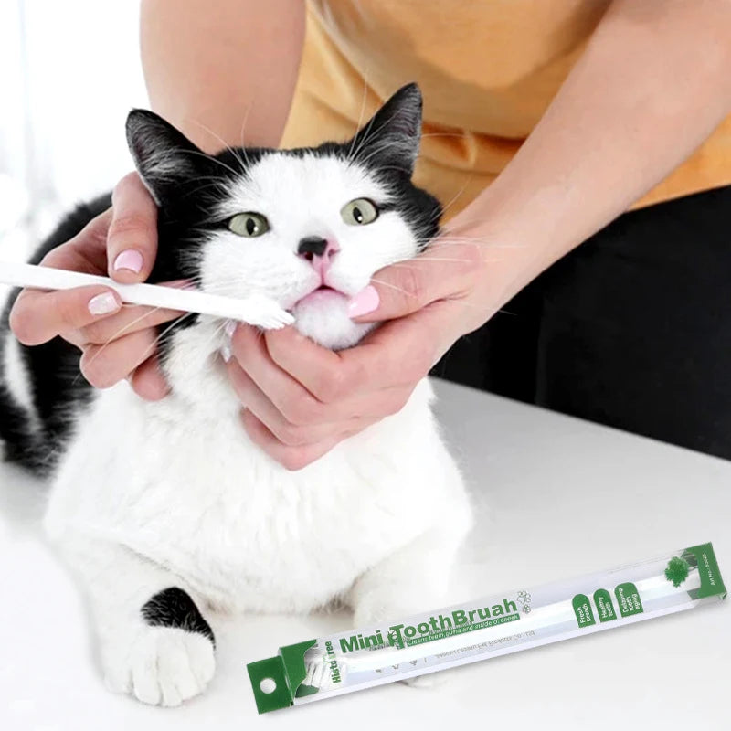 Micro-Head Pet Toothbrush - product image 5