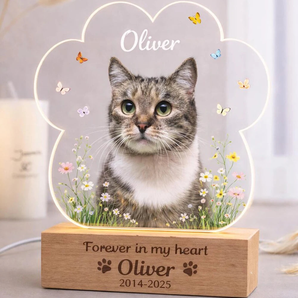 Personalized pet memorial night light with dog or cat photo rainbow bridge gift