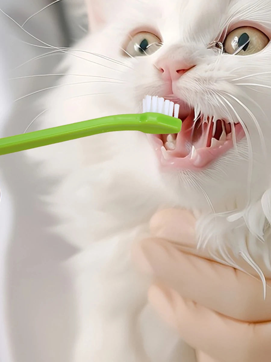 Soft-Bristle Pet Toothbrush - product image 7