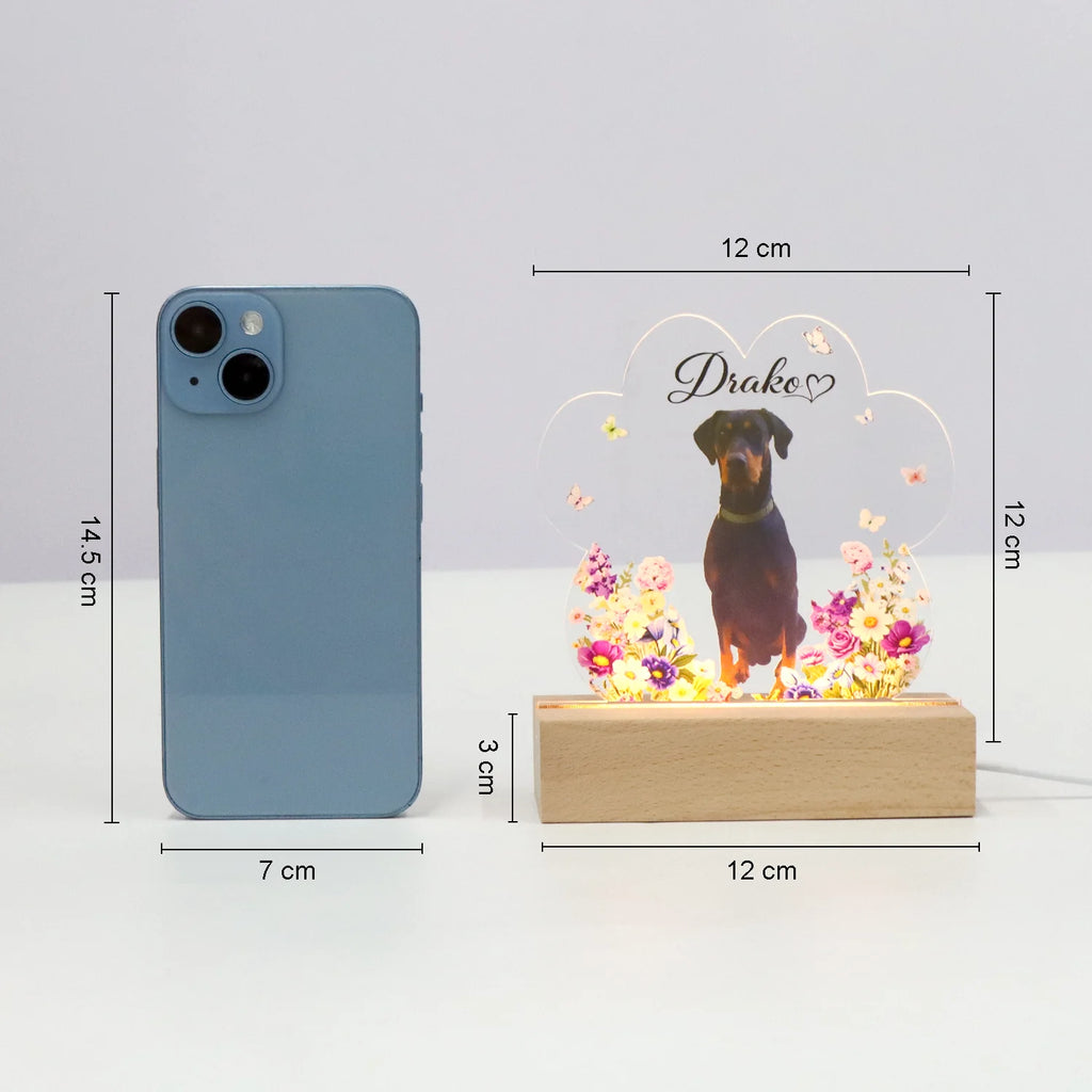 Personalized pet memorial night light with dog or cat photo rainbow bridge gift