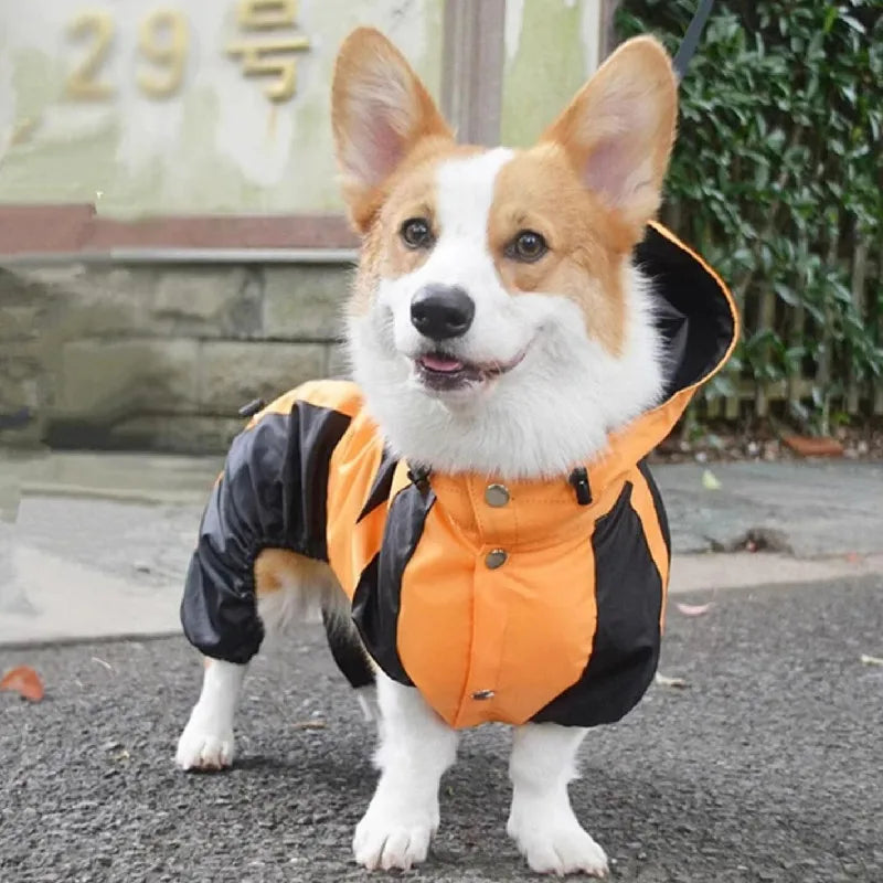 Waterproof Corgi Dog Raincoat - product image 12