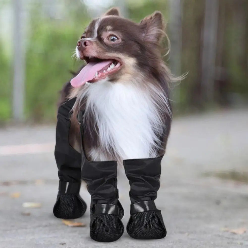 Waterproof Dog Paw Protector Boots - product image 14