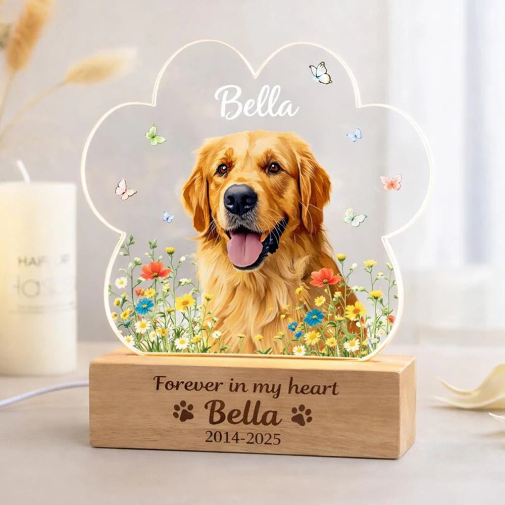 Personalized pet memorial night light with dog or cat photo rainbow bridge gift