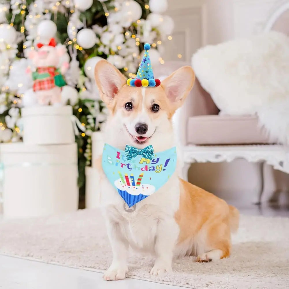 Dog birthday outfit set with bandana hat and bow tie for pet party photos