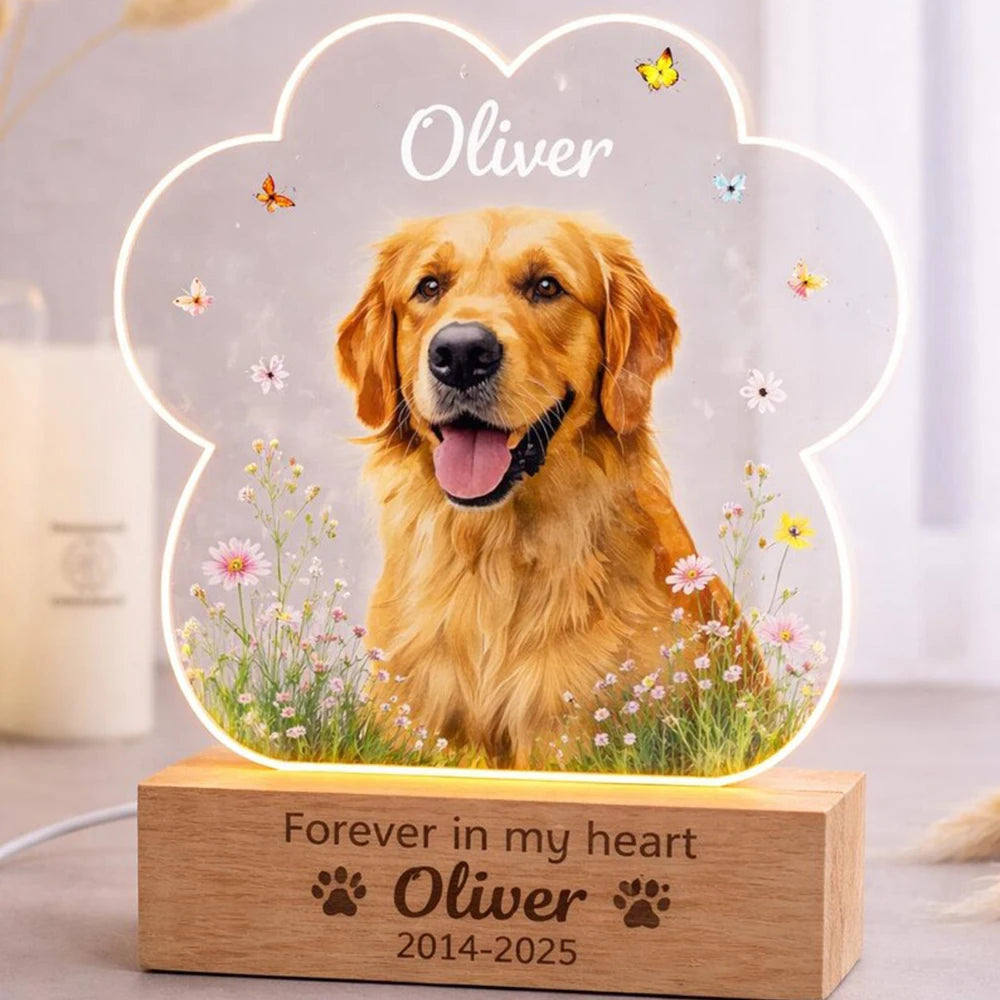 Personalized pet memorial night light with dog or cat photo rainbow bridge gift