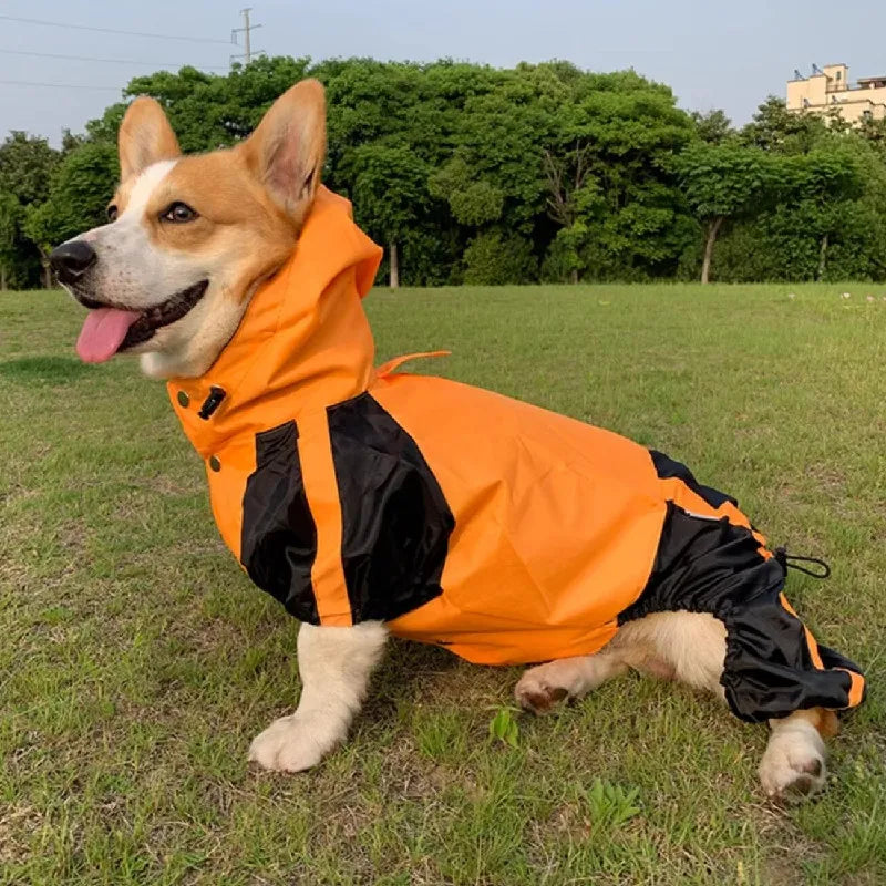 Waterproof Corgi Dog Raincoat - product image 9