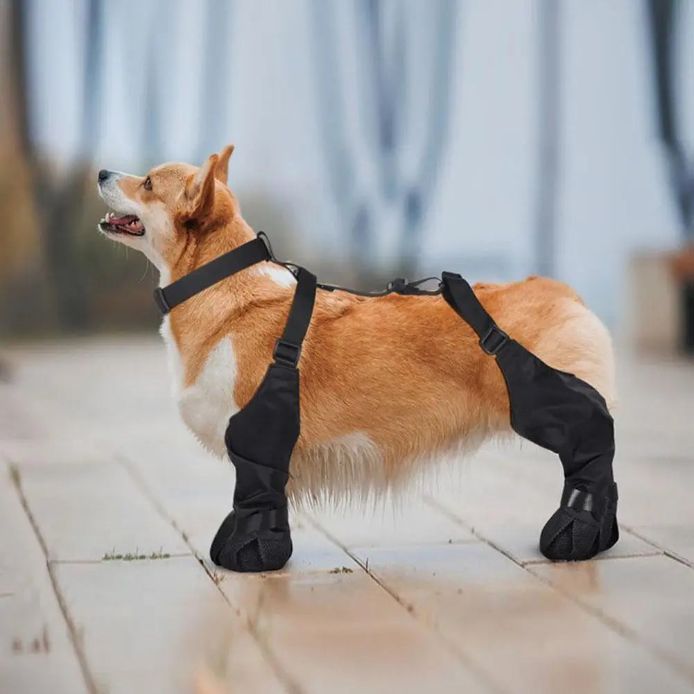 Waterproof Dog Paw Protector Boots - product image 9