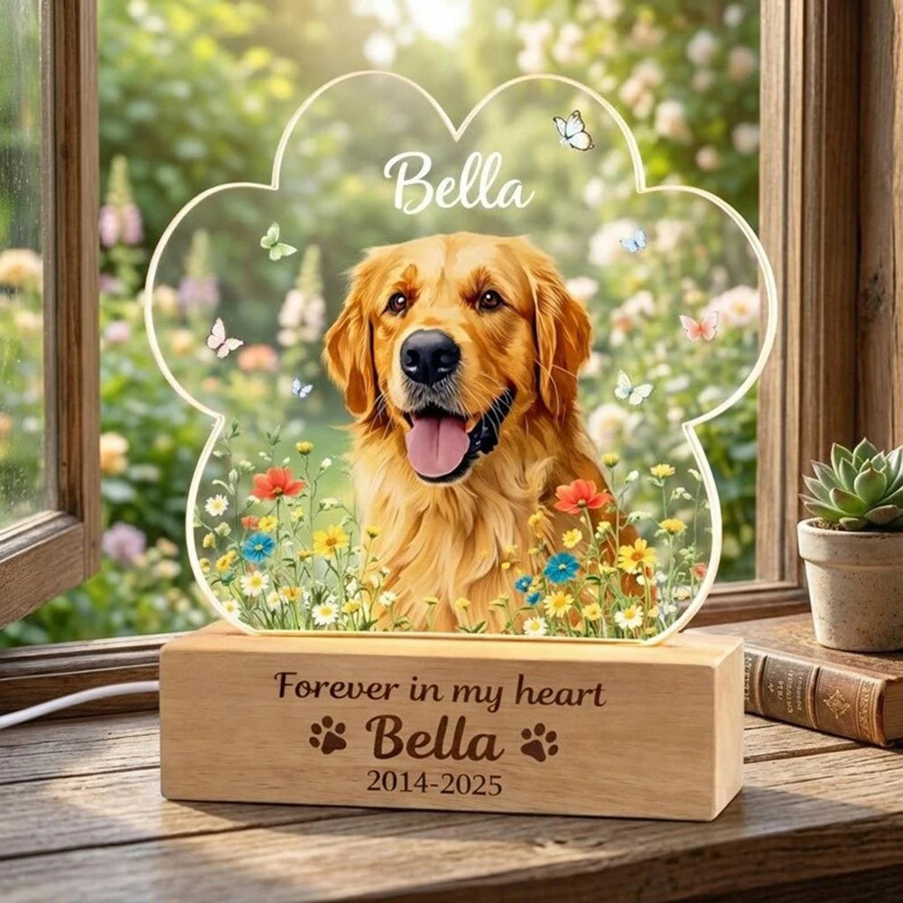 Personalized pet memorial night light with dog or cat photo rainbow bridge gift