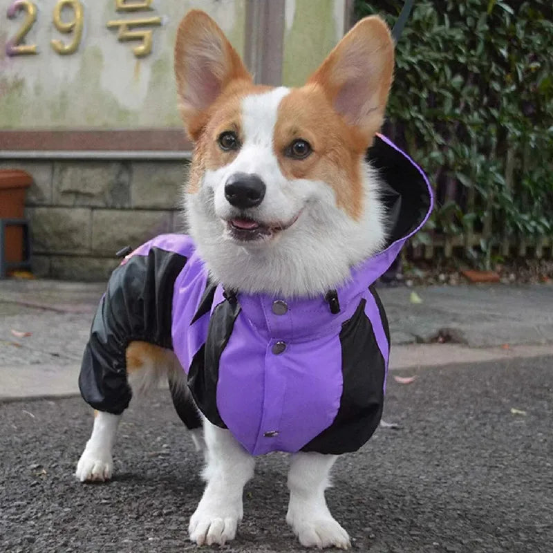 Waterproof Corgi Dog Raincoat - product image 17