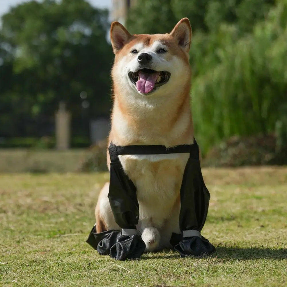 Waterproof Dog Paw Protector Boots - product image 12