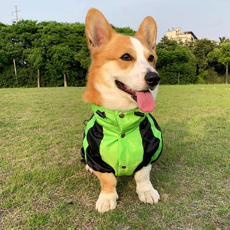 Waterproof Corgi Dog Raincoat - product image 15