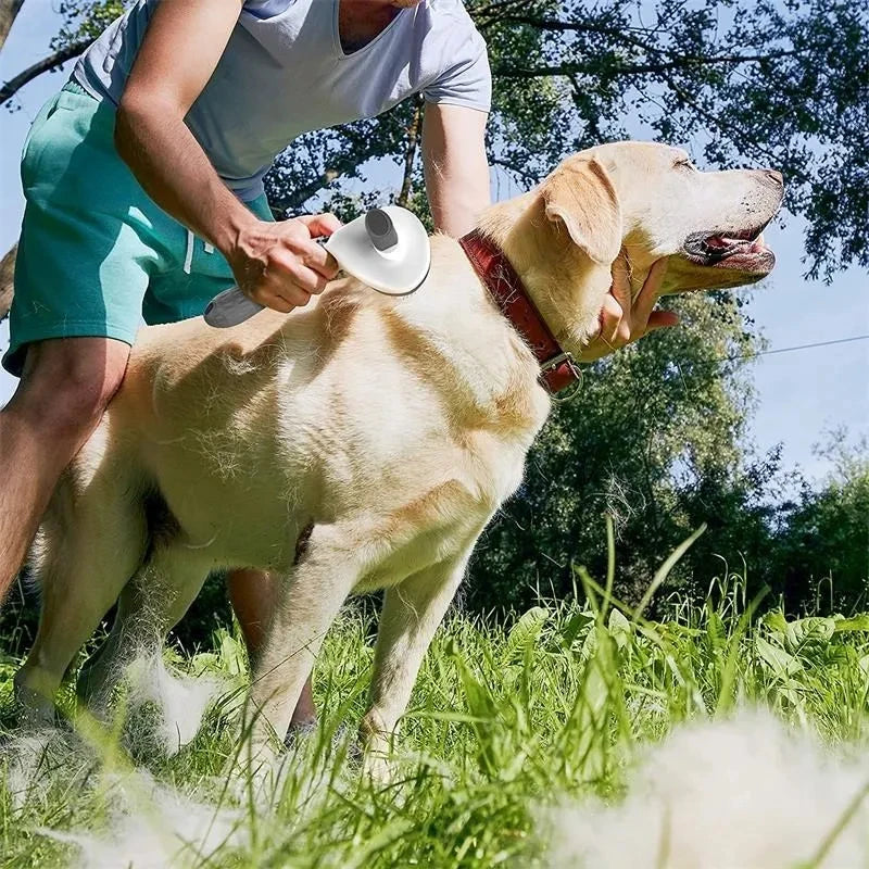 Self-Cleaning Pet Slicker Brush - product image 16